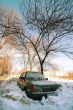 the car under a snow