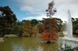 Autumn park