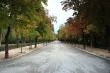 Park alley
