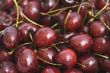 red cherries