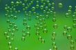 Bubbles