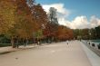 Park alley