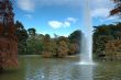 Autumn park
