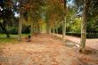 Park alley