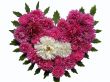 Love heart