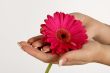 Pink Petal