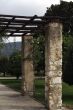 Vineyard