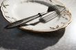 fork with a plate