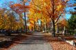 cemetery in autumn