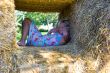 Cute girl on haybales