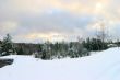 winter landscape
