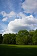 summer park