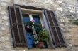 The window