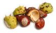 chestnuts on white