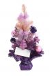 Chtistmas tree / clipping path