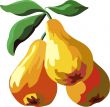 Juicy appetizing mature yellow pears