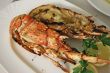 Grilled lobster