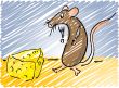 Mouse and cheese