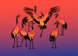 Seven dancing storks