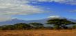 Kilimanjaro