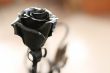rose from metal