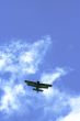 plane