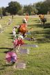 Colorful Gravesides