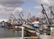 Fishing Trawlers