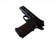 Pistol