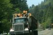 Logging truck on highway