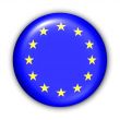 EU Flag