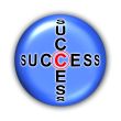 Success Button
