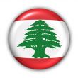 Lebanon Flag