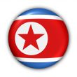 North Korea Flag