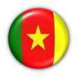 Cameroon Flag