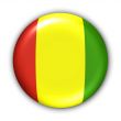 Guinea Flag