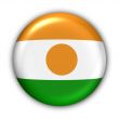 Niger Flag