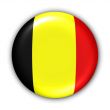 Belgium Flag