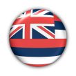 Hawaii Flag
