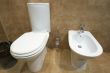 toilet bowl