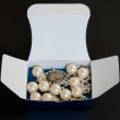 necklace in a box