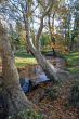Milan - Sempione Park in november