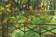 Milan - Sempione Park in november