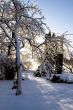 First snow