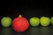 Apples & a Pomegranate