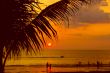 sand beach at sunset