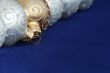 Christmas Ornaments / Balls / with copy spase