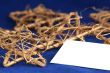 Gold Christmas Star / with blank card  / holiday background