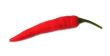 Chilli