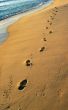Footprints